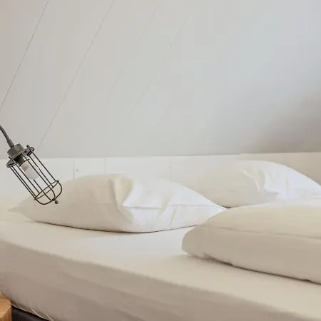 In Beemster By Windmill *