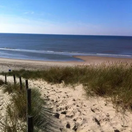 In Beemster By Windmill Middenbeemster