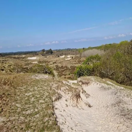 In Beemster By Windmill Middenbeemster