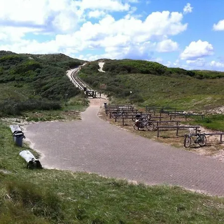In Beemster By Windmill