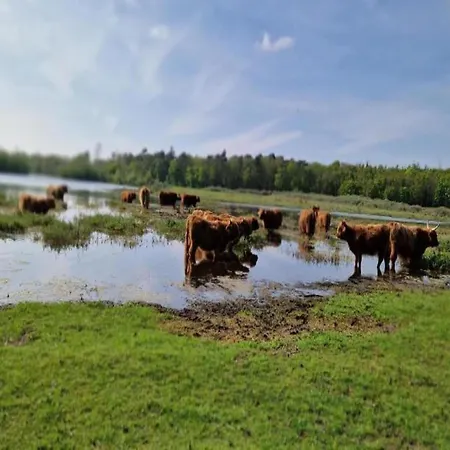 In Beemster By Windmill בית נופש