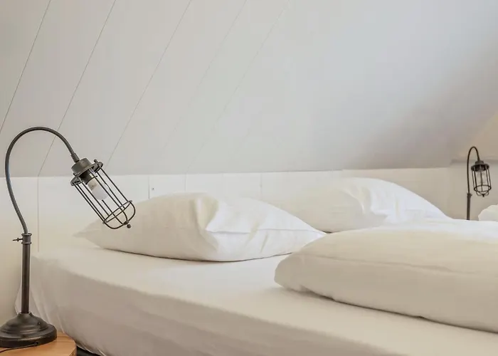 In Beemster By Windmill *