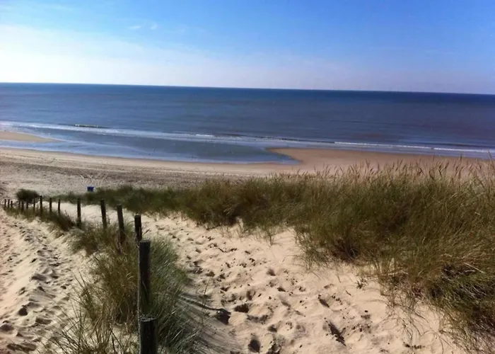 In Beemster By Windmill Middenbeemster