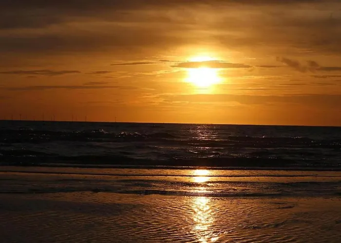 In Beemster By Windmill Hébergement de vacances