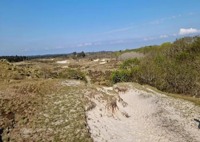 In Beemster By Windmill Middenbeemster
