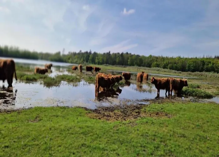 In Beemster By Windmill Hébergement de vacances